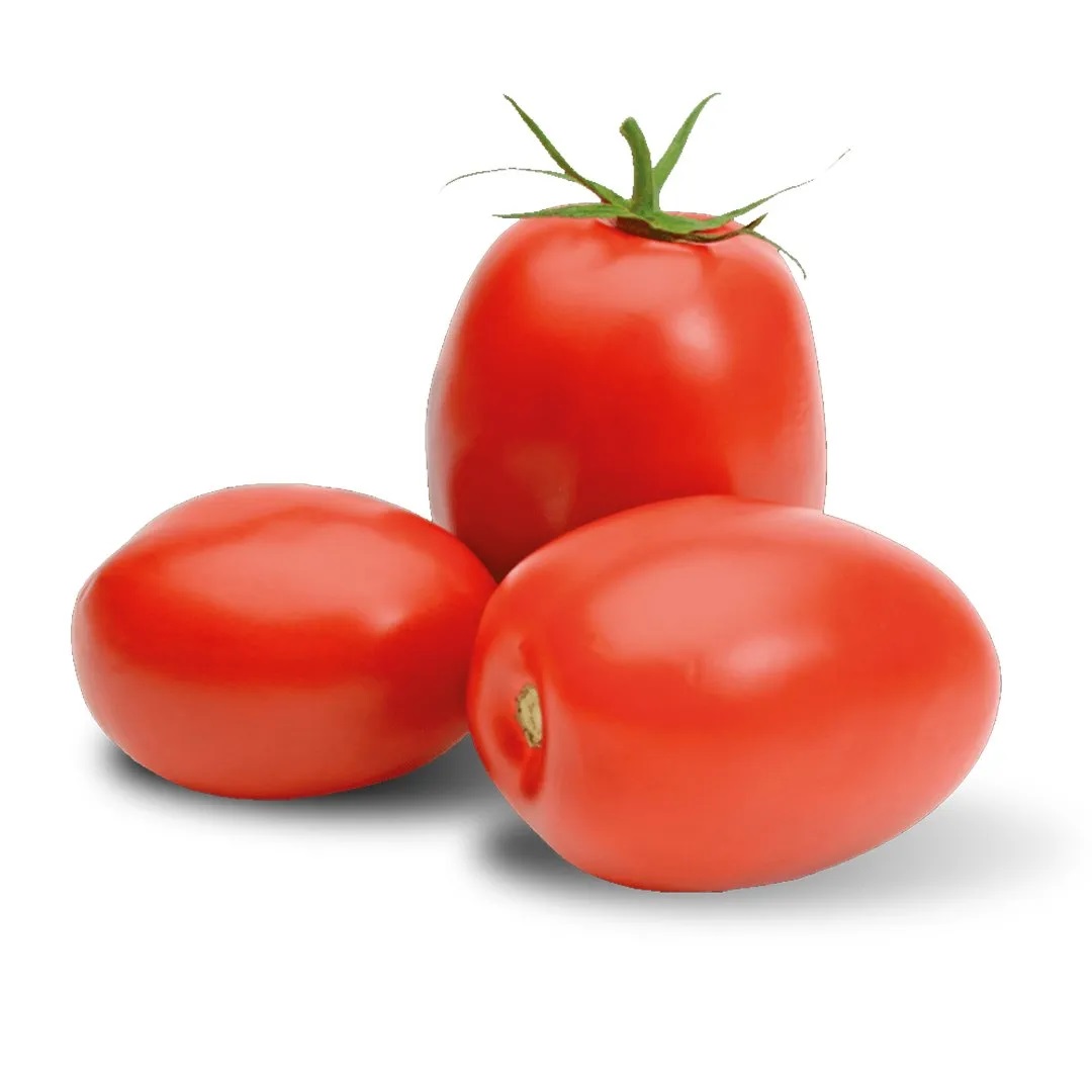 Tomate Saladette